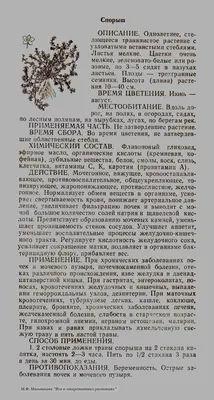 Горец птичий (Спорыш) трава 5гр. для свечей и ритуалов + сувенирное  украшение ELG - купить в Москве, цены на Мегамаркет