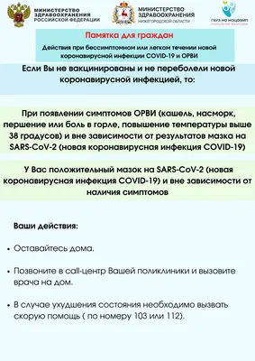 Справка перед посещением школы и детского сада в Мурманске 2023: как  получить, профосмотры, детская поликлиника, какие анализы надо сдавать -  KP.RU