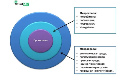 С днём среды | Пикабу