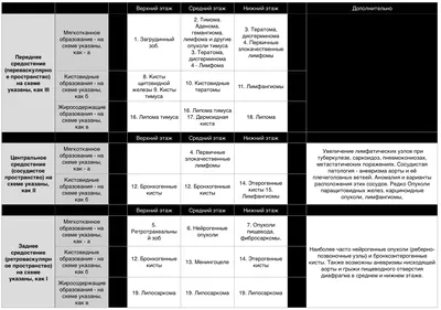 Основы. ОГК. Средостение. + | Портал радиологов