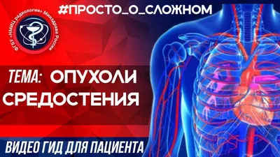 Лучевые исследования средостения - ppt video online download