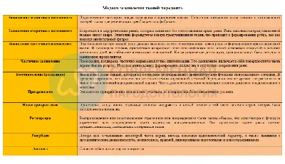 Набор заживающих ран, кожных шрамов, зашитых ран и порезов. реалистичные  хирургические швы, зашитые раны на разных стадиях заживления. сбор разрывов  в тканях тела. | Премиум векторы