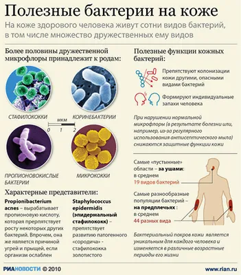 ЭкоТест - МАСЛО ЧАБРЕЦА И ЗОЛОТИСТЫЙ СТАФИЛОКОКК: Staphylococcus aureus (S.  aureus) - вид бактерий рода стафилококков. Вызывает много заболеваний,  начиная с лёгких кожных заболеваний, заканчивая опасными заболеваниями,  как: пневмония, менингит ...