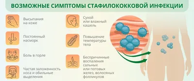 Микробиота полости рта и ее роль в развитии пародонтопатий (3979) -  Стоматология - Новости и статьи по стоматологии - Профессиональный  стоматологический портал (сайт) «Клуб стоматологов»