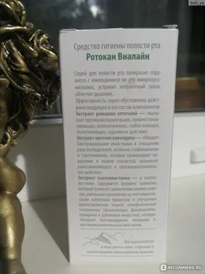 Грязные руки в рот не тащила, а язвы во рту получила»: о причинах стоматита  и способах борьбы простым языком или почему нужно есть мед | Таблетка 0,05.  | Дзен