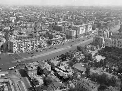 Где растут самые старые деревья Москвы