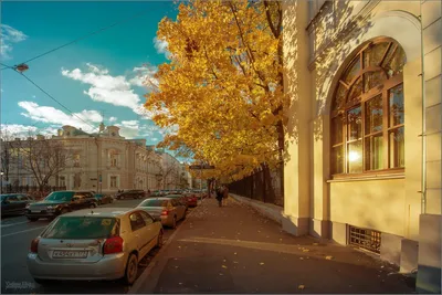 Фотографии Москвы 50-х годов