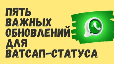 В WhatsApp появились пять новых функций для статуса | ВСЁ ПРО ВАТСАП | Дзен