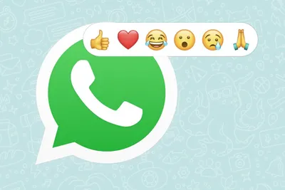 WhatsApp: как узнать, сколько раз вы видели мои истории - Infobae