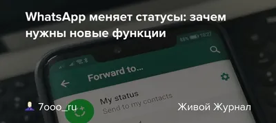 Делиться статусами в WhatsApp на Android станет удобнее