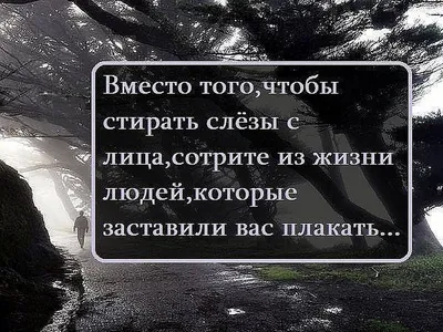 Красивые короткие цитаты: 150 высказываний со смыслом для социальных сетей  - Я Покупаю