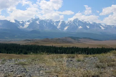 По Голодной степи | Экология: Фото, Туризм, Узбекистан