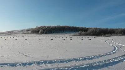 Степь Астрахани стоковое фото. изображение насчитывающей астрахань -  63744140