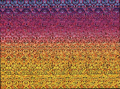 Color Stereo Hidden Image Stereogram Gallery