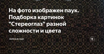 Стереоглаз » Прикольные картинки: скачать бесплатно на рабочий стол