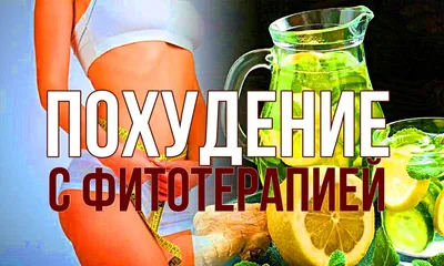 Мотивация для похудения женщинам и девушкам: фразы, цитаты, заставки