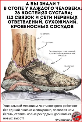 Балетная стопа. | ВКонтакте