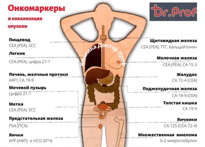 Трещины и шишки при геморрое - причины появления и методы лечения