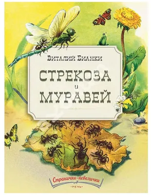 Стрекоза и Муравей 2.0\" - Дмитрий Кобзев - Стрекоз прекрасных хоровод Над  лугом весело летает, А муравей который год, В трудах своих не отдыхает.  Тепла и солнца век не долог, Пришла зима