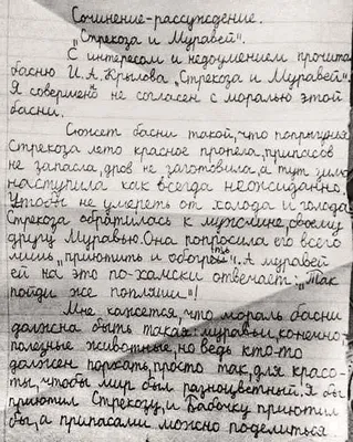 В басне «Стрекоза и Муравей» нет стрекозы. Подборка неожиданных, но  правдивых фактов