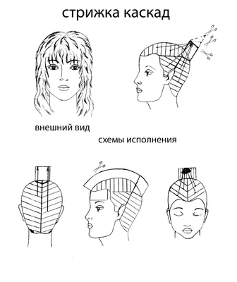 Аврора | Стрижка, Ретро стрижка, Многослойная стрижка