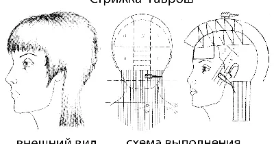 Стрижка Гаврош для современных модниц и не только. 12 фото ярких примеров |  Короткие стрижки | Дзен