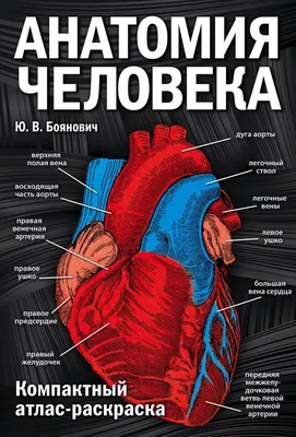 Читать статья №3: направления изучения анатомии человека от Логосферы на  medpublishing