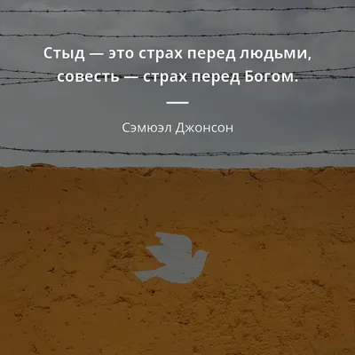 Стыд, Софи Саренбрант – скачать книгу fb2, epub, pdf на ЛитРес