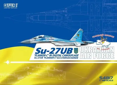 Hobby Boss 081712 1/48 SU 27 Flanker, Früh, 1:48 Scale: Amazon.de: Spielzeug