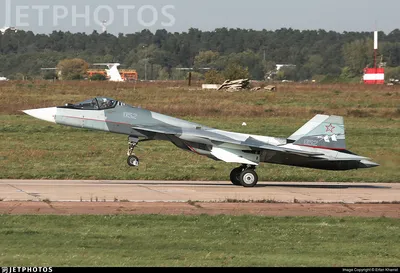 Готовая модель самолета истребителя Су-57 (Т-50) \"ВВС\" арт. RAT508136,  масштаб: 1:48 от МКБ «АРСЕНАЛ» за 15000 руб. в интернет-магазине  Arsenal-takeoff.com