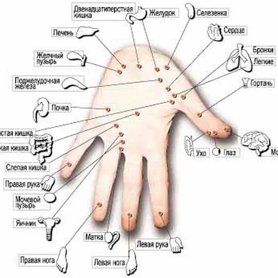 Су Джок Терапия - Язык Тела