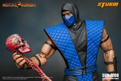 Mortal Kombat Storm Collectibles Sub-Zero Figure