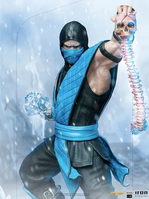 Mortal Kombat Cosplay Costume, Sub Zero Costume With Vest and Mask, Ninja  Sleeveless Men Top, Mk Ninja Warrior, MK2 Classic - Etsy