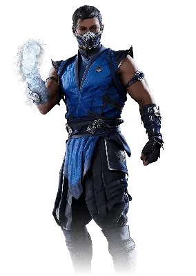 Mortal Kombat - Sub Zero - high quality 11 x 17 digital print – Greg Horn  Art