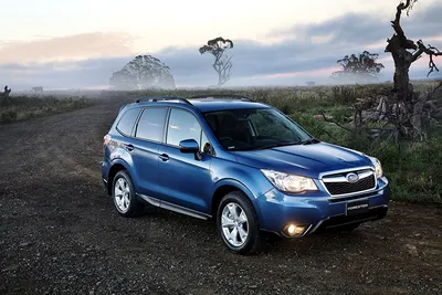 Subaru Forester На Грязной Дороге В Лесу — стоковые фотографии и другие  картинки 4х4 - 4х4, Внедорожник, Горизонтальный - iStock