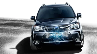 Фото Subaru Forester - фотографии, фото салона Subaru Forester, V поколение