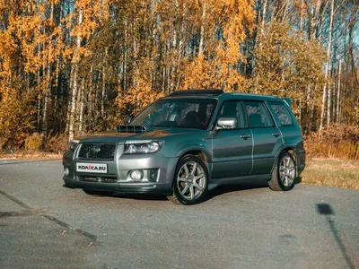 Картинка Субару Forester машины Белый фон