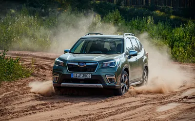 Новый Subaru Forester: первые фотографии?