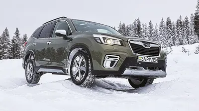 Внедорожник Subaru Forester, 2018 в ночном городе - обои для рабочего  стола, картинки, фото