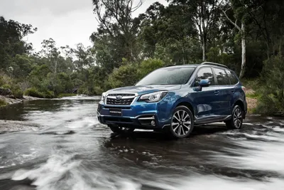 Subaru Forester На Сельской Гравийной Дороге — стоковые фотографии и другие  картинки 4х4 - 4х4, Внедорожник, Горизонтальный - iStock