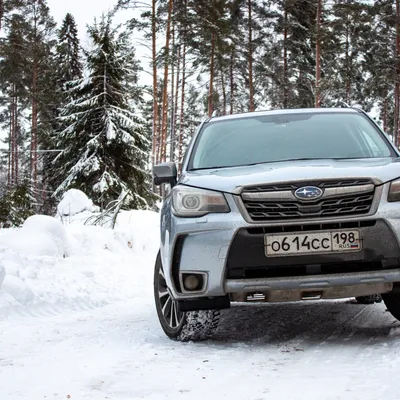 Фанаты оценят: чем удивил гибридный Subaru Forester - Україна За кермом