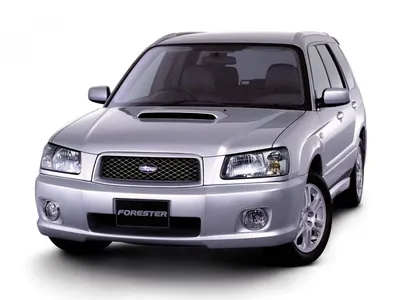 Лесник-путешественник. Новый Subaru Forester - ФОКУС