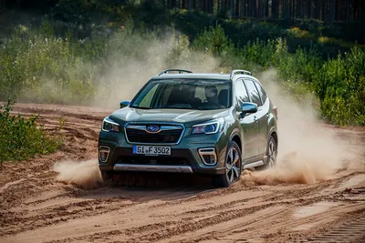 Тест и обзор Subaru Outback VI поколения — плюсы и минусы внедорожного  универсала из Японии