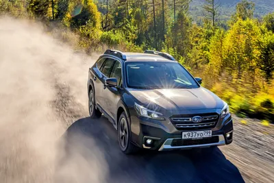 Представлен Subaru Outback Wilderness для бездорожья — Авторевю