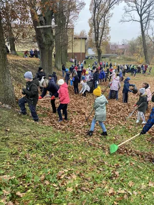 Осенний субботник в начальной школе | Мамоновская средняя школа