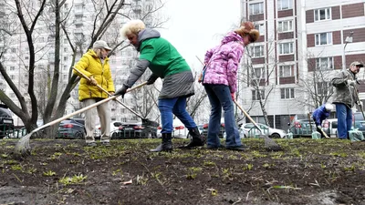 22 апреля по всей стране пройдет Всероссийский субботник. | 19.04.2023 |  Коряжма - БезФормата