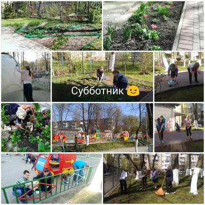 Рассказываем про \"плюсы\" выхода на субботник : Новости Гатчинского района