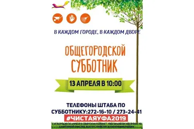 Инструкция: Как организовать челлендж-субботник, который стал популярным во  всем мире - VTORMA UA