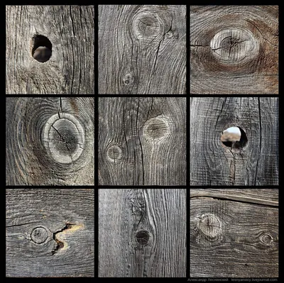 Пороки древесины и дефекты обработки - Блог