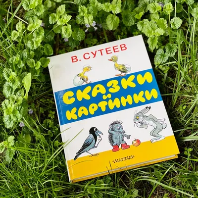 Владимир Сутеев: Сказки и картинки - купить в интернет магазине, продажа с  доставкой - Днепр, Киев, Украина - Книги для детей 3 - 6 лет